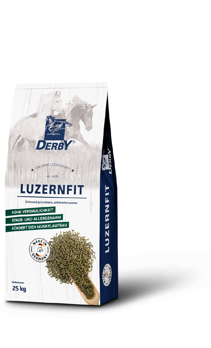 DERBY Luzernfit